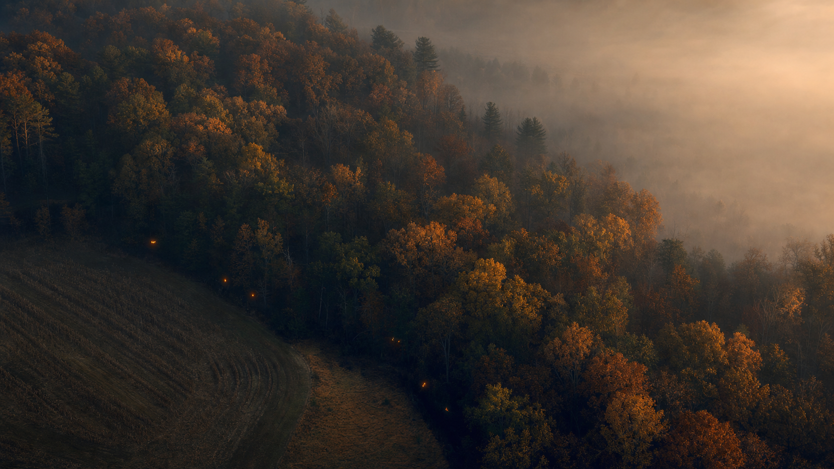 Aerial dusk view of Virginia hardwood ridge and cornfield edge with faint warm glow points indicating deer body heat under the canopy